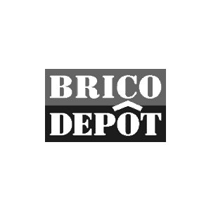 brico_depot_logo