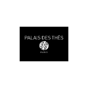palais_des_thes_logo